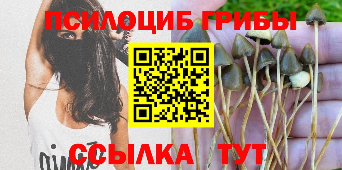 Псилоцибиновые грибы MAGIC MUSHROOMS Торжок
