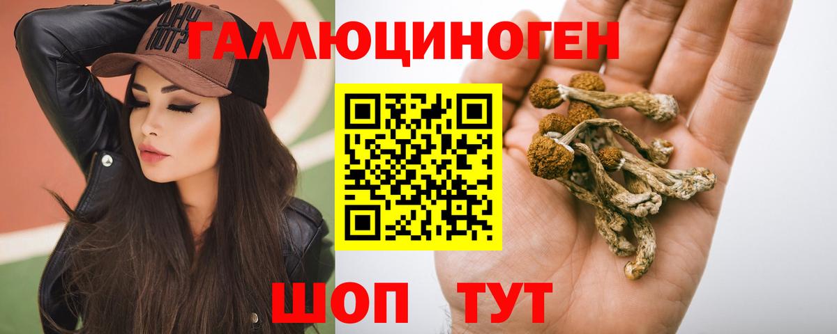 Галлюциногенные грибы мухоморы  Вход с VPN  Торжок 